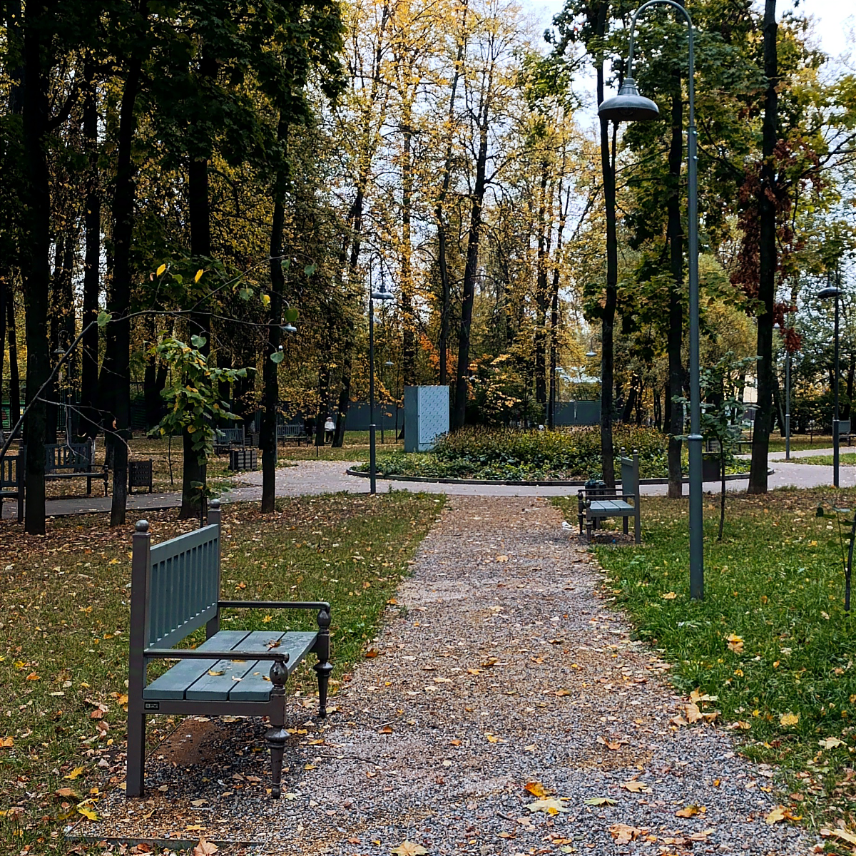Осенняя атмосфера, фотографировала для выставки | Сетка — социальная сеть от hh.ru
