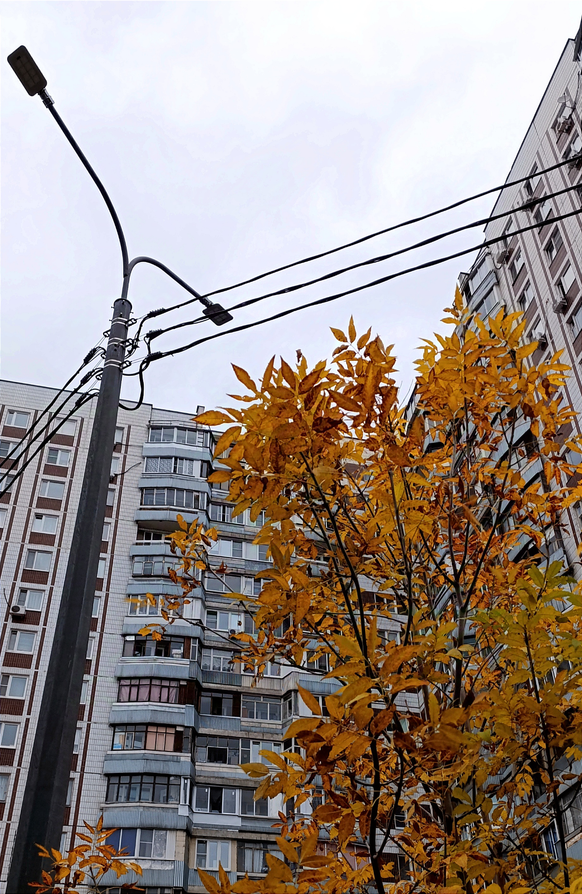 Осенняя атмосфера, фотографировала для выставки | Сетка — социальная сеть от hh.ru