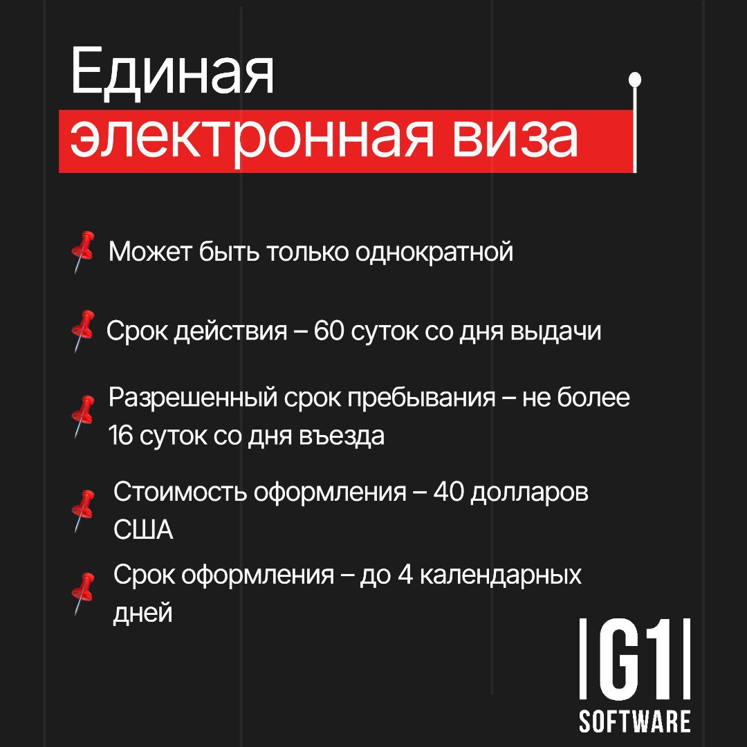 Электронные визы Российской Федерации становятся всё более популярными среди иностранных гостей, посещающих нашу страну | Сетка — социальная сеть от hh.ru