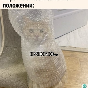 Егор Каиф