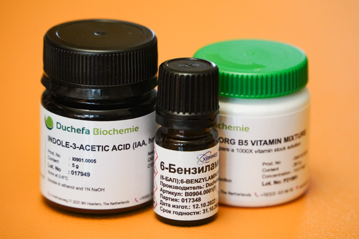 ИП Дмитриев | Сетка — социальная сеть от hh.ru