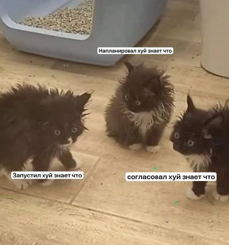 Коллеги 😂 | Сетка — социальная сеть от hh.ru