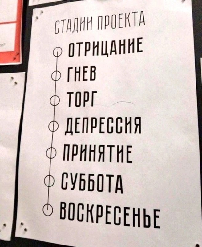 Все стадии проекта 🔻
#Маркетинг | Сетка — социальная сеть от hh.ru