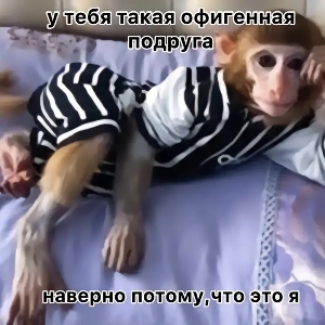 Дети Апупели