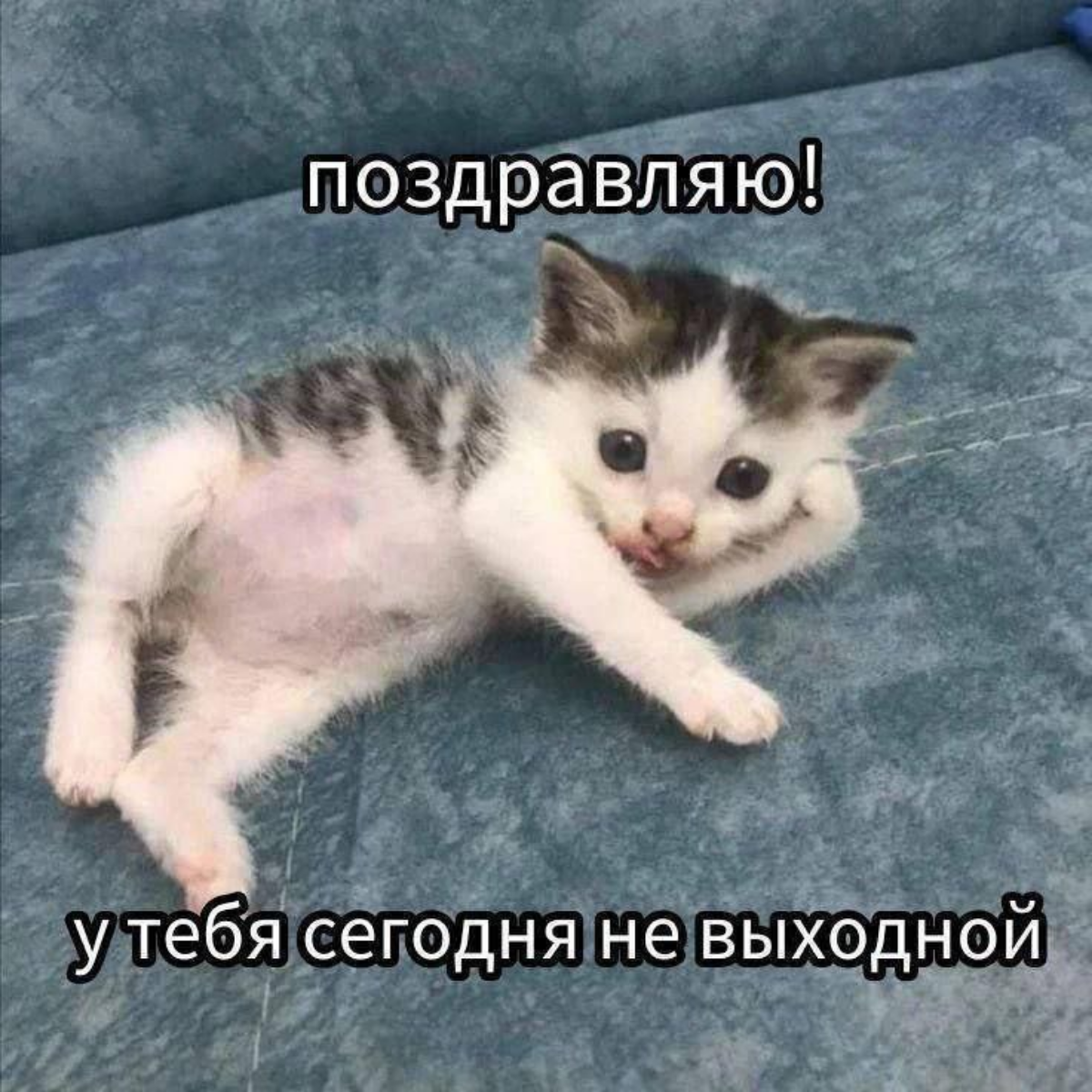 Из инженера-конструктора в маркетинг | Сетка — социальная сеть от hh.ru