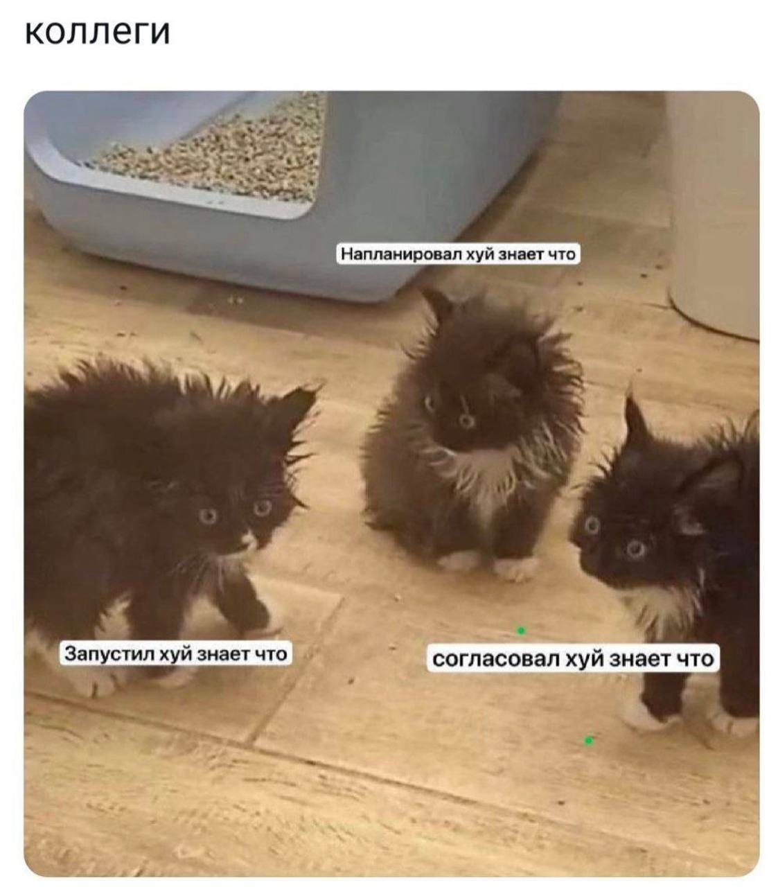 Сетка — социальная сеть от hh.ru