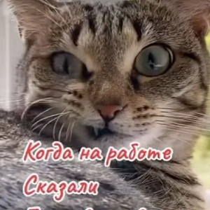 Анатолий Югатов