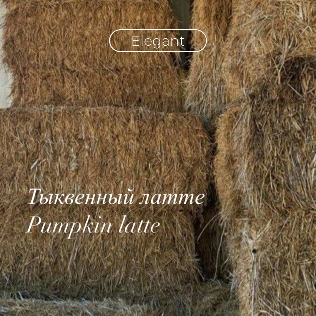 В Inst появилось много новых шрифтов, которые можно использовать в сторис🍧🍁🦋
К сожалению, кириллицу поддерживают не так много
/В тг канале Что – то о визуале💅🧚🏻‍♀️ можно посмотреть как выглядят все шр... | Сетка — социальная сеть от hh.ru