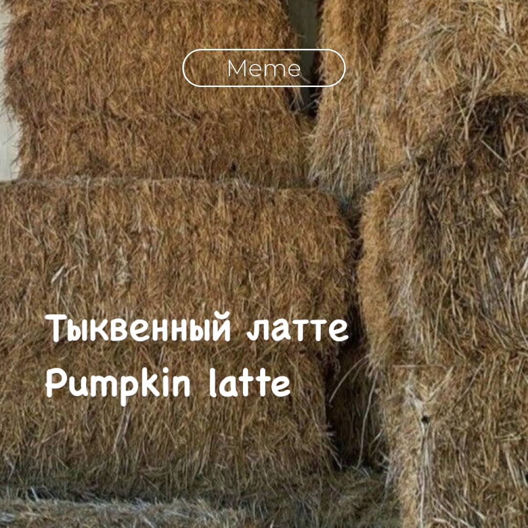 В Inst появилось много новых шрифтов, которые можно использовать в сторис🍧🍁🦋
К сожалению, кириллицу поддерживают не так много
/В тг канале Что – то о визуале💅🧚🏻‍♀️ можно посмотреть как выглядят все шр... | Сетка — социальная сеть от hh.ru