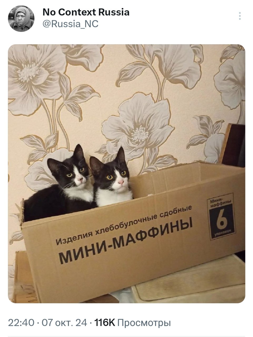 Коллеги, идём пить чай — вон и маффины подъехали
➡️ отправь коллеге мем в телеге | Сетка — социальная сеть от hh.ru