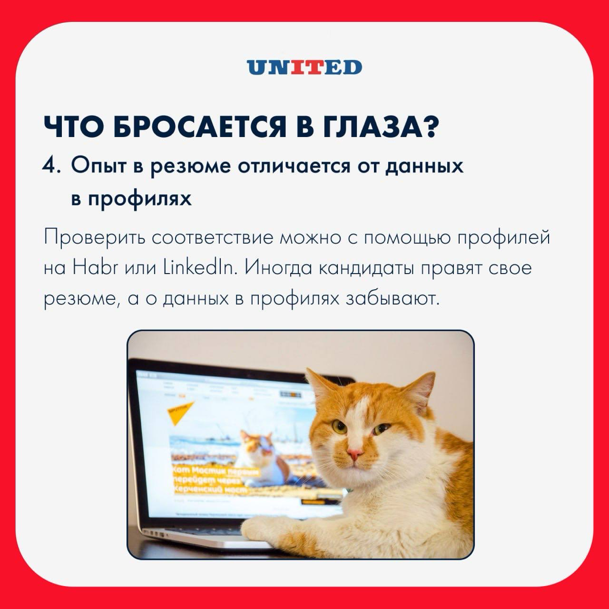 Видели джуна с 5-летним профильным опытом? | Сетка — социальная сеть от hh.ru
