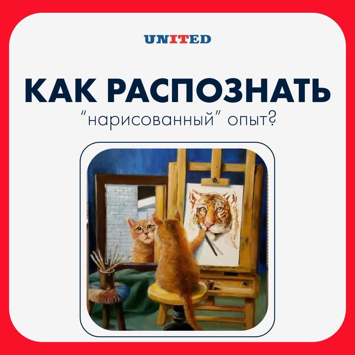 Видели джуна с 5-летним профильным опытом? | Сетка — социальная сеть от hh.ru