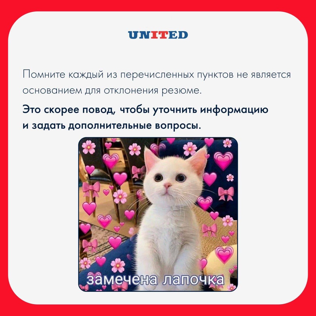 Видели джуна с 5-летним профильным опытом? | Сетка — социальная сеть от hh.ru