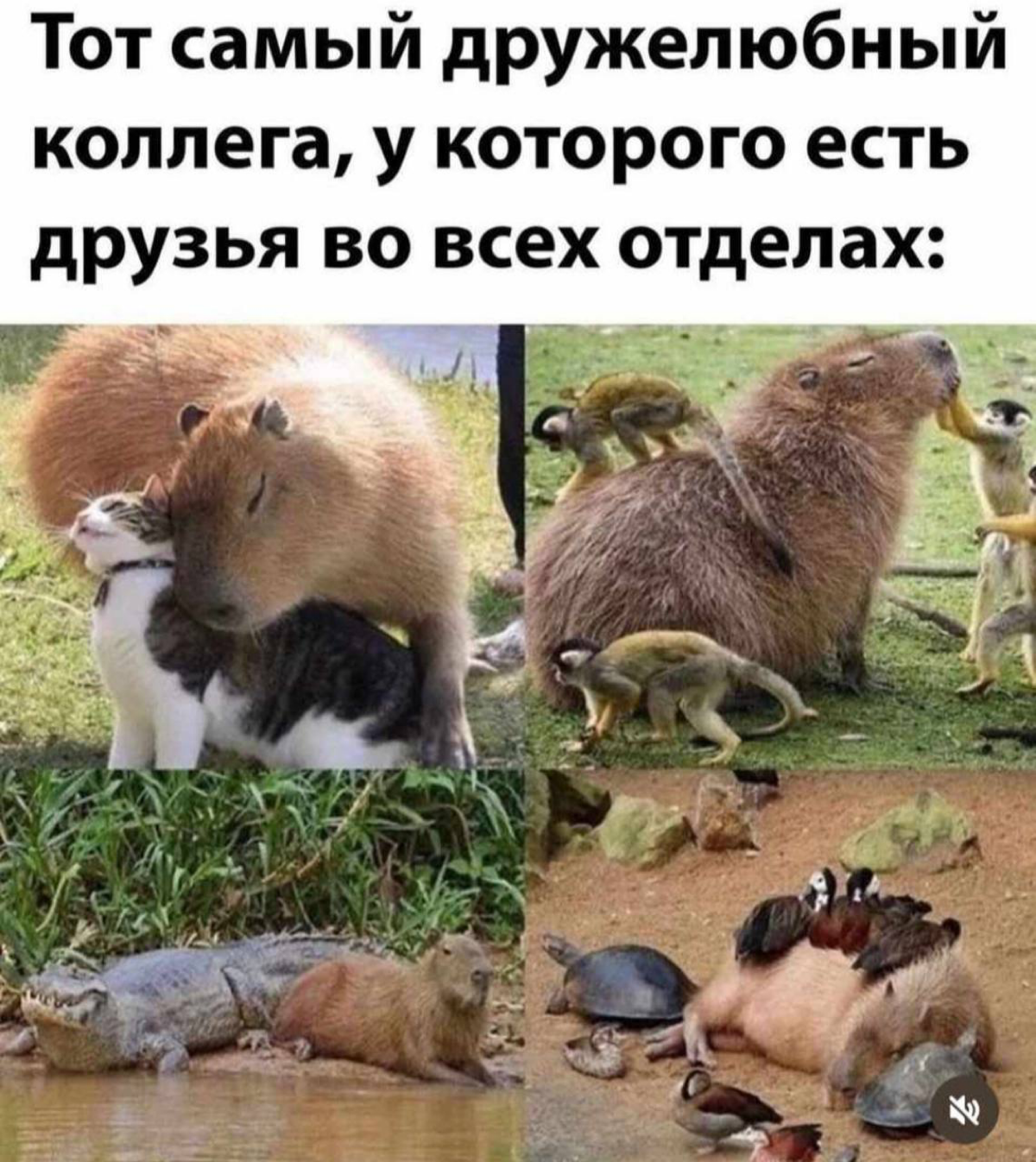 Можно ли одновременно дружить с маркетологами и продажниками? 🤔😜 | Сетка — социальная сеть от hh.ru