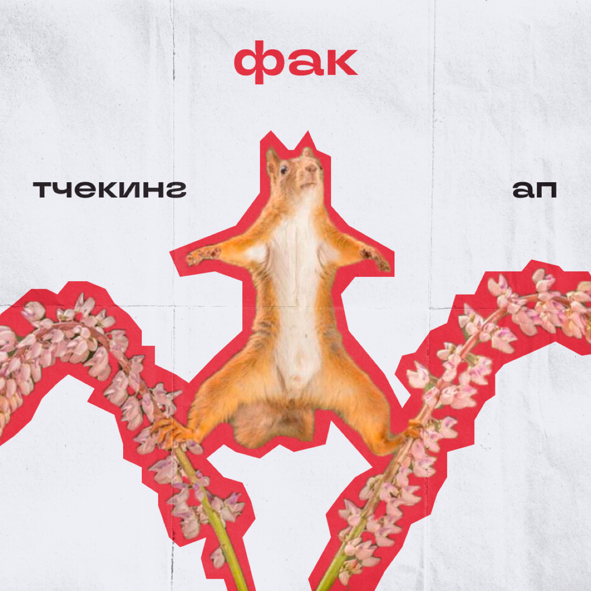 Коллеги, ворк-лайф-баланс — это прошлый век. У нас теперь выходные-выгорание-баланс. И еще несколько штук, в которых приходится держаться на грани | Сетка — социальная сеть от hh.ru