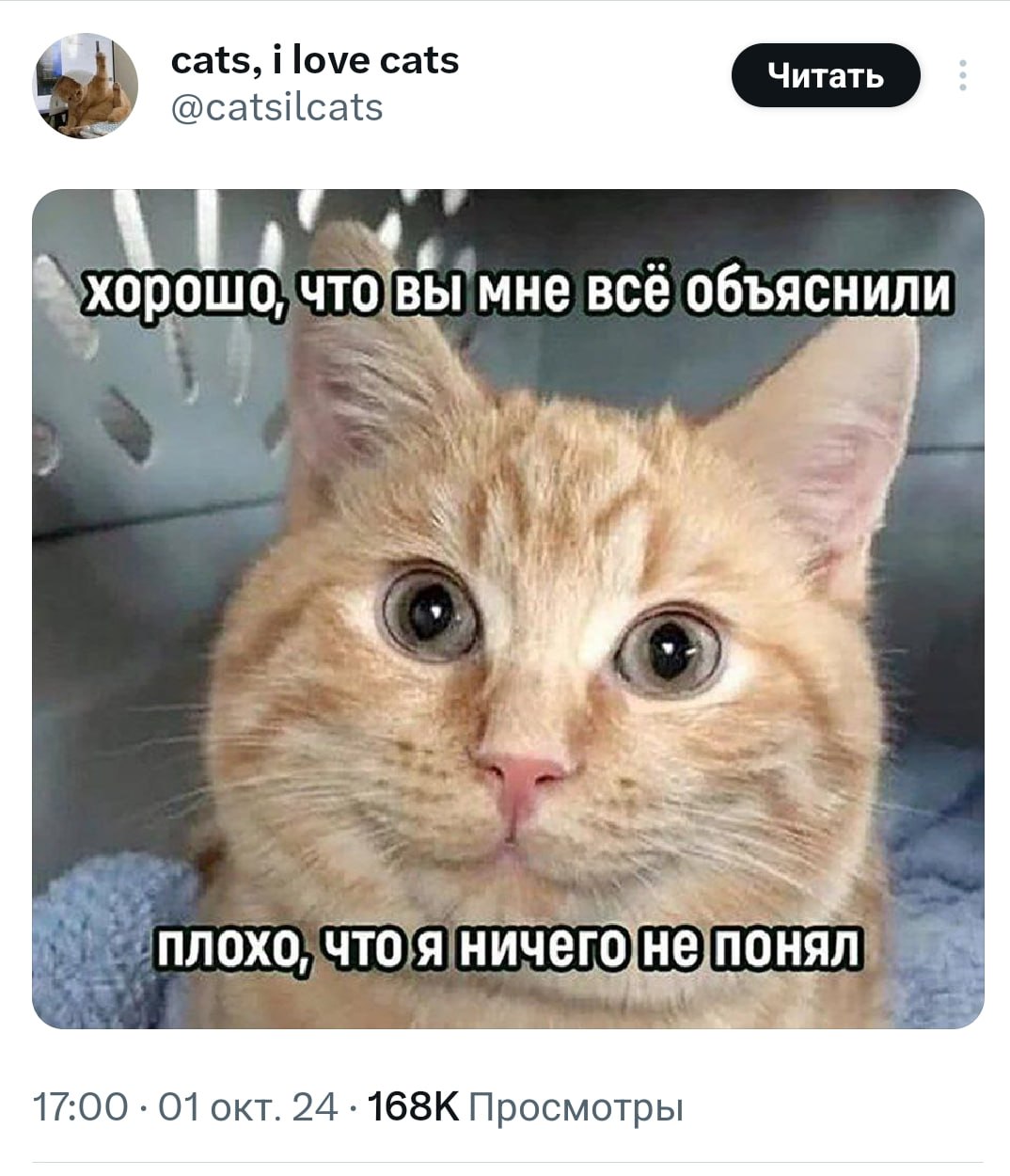 Кратко о моём общении с начальством | Сетка — социальная сеть от hh.ru