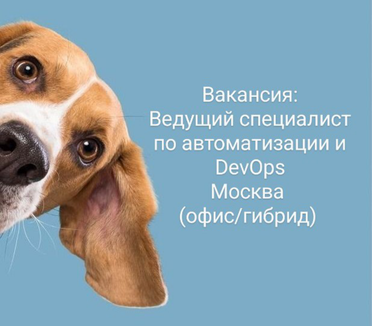 #вакансия #devops #системныйадминистратор
Должность: Ведущий специалист по автоматизации и DevOps
ЗП: 150-200 р по результатам собеседования
Место работы: г | Сетка — социальная сеть от hh.ru