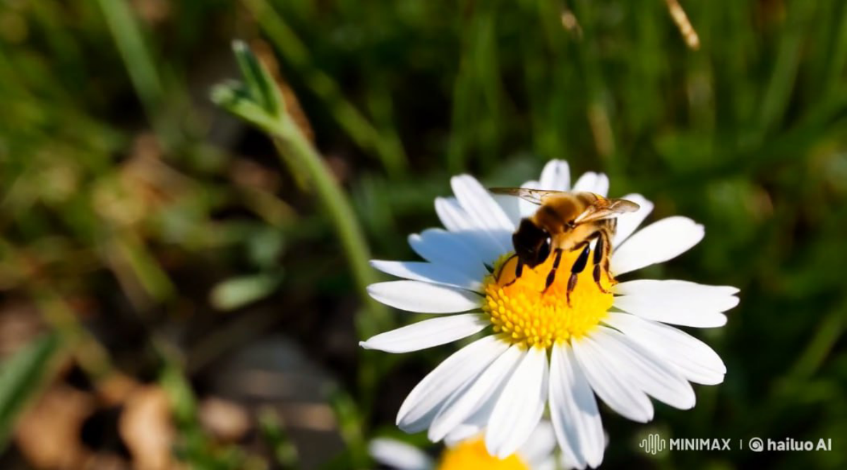 Minimax: китайская нейромагия | Сетка — социальная сеть от hh.ru