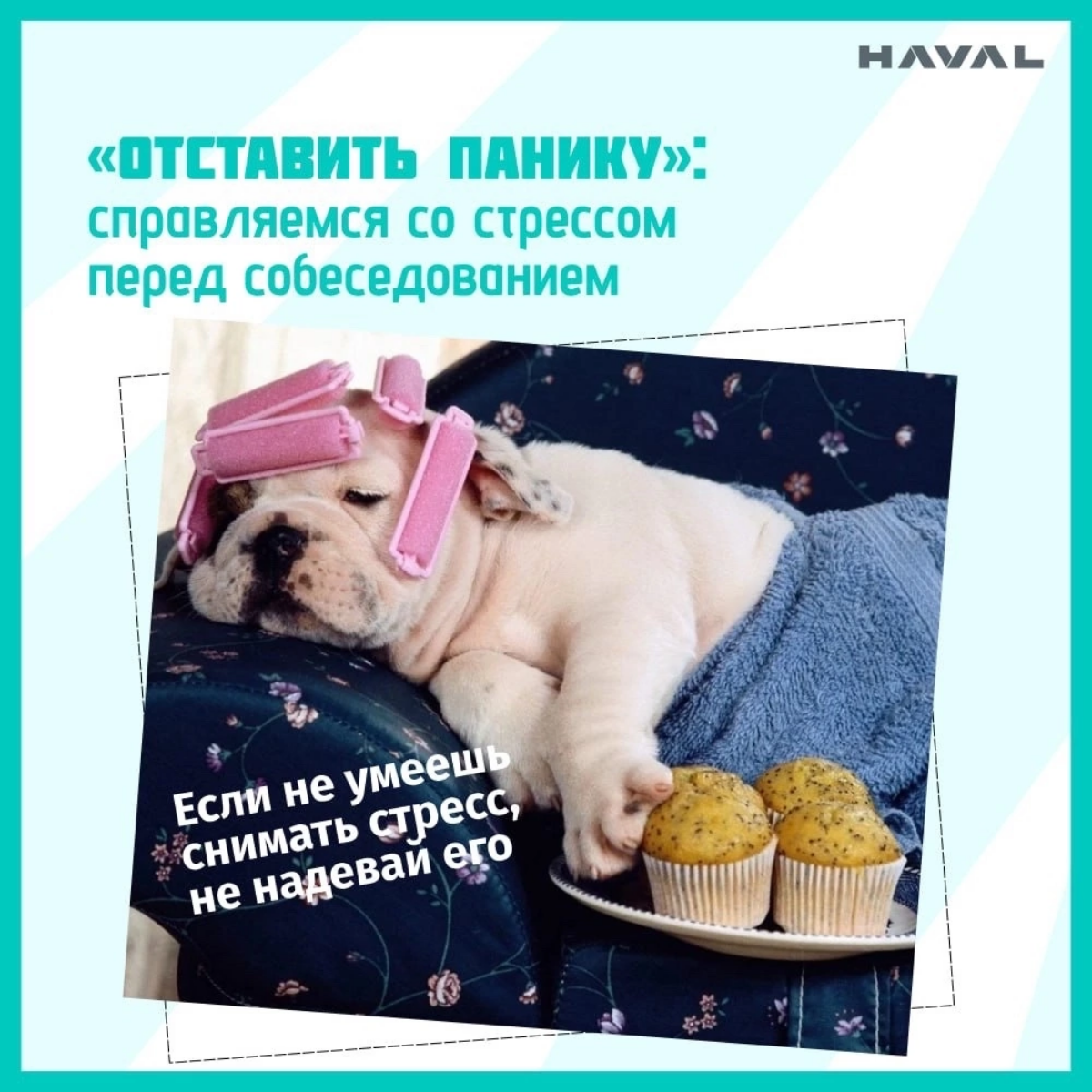 Волнуешься перед собеседованием?😰Не паникуй! 🧘‍♀️🍀
🌼Пост с ценными советами, которые помогут тебе справиться со стрессом и продемонстрировать свои лучшие качества на собеседовании. | Сетка — социальная сеть от hh.ru