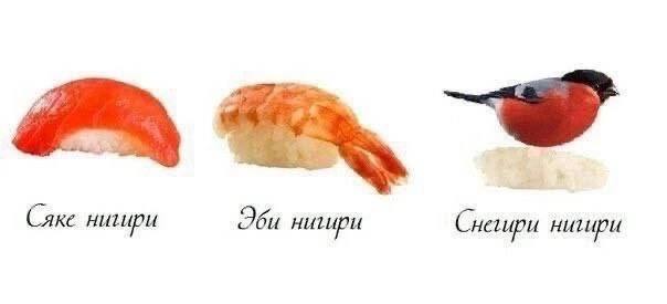 Сетка — социальная сеть от hh.ru