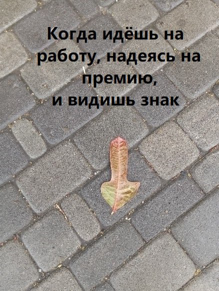 Знак, кстати, не соврал 🤣 | Сетка — социальная сеть от hh.ru