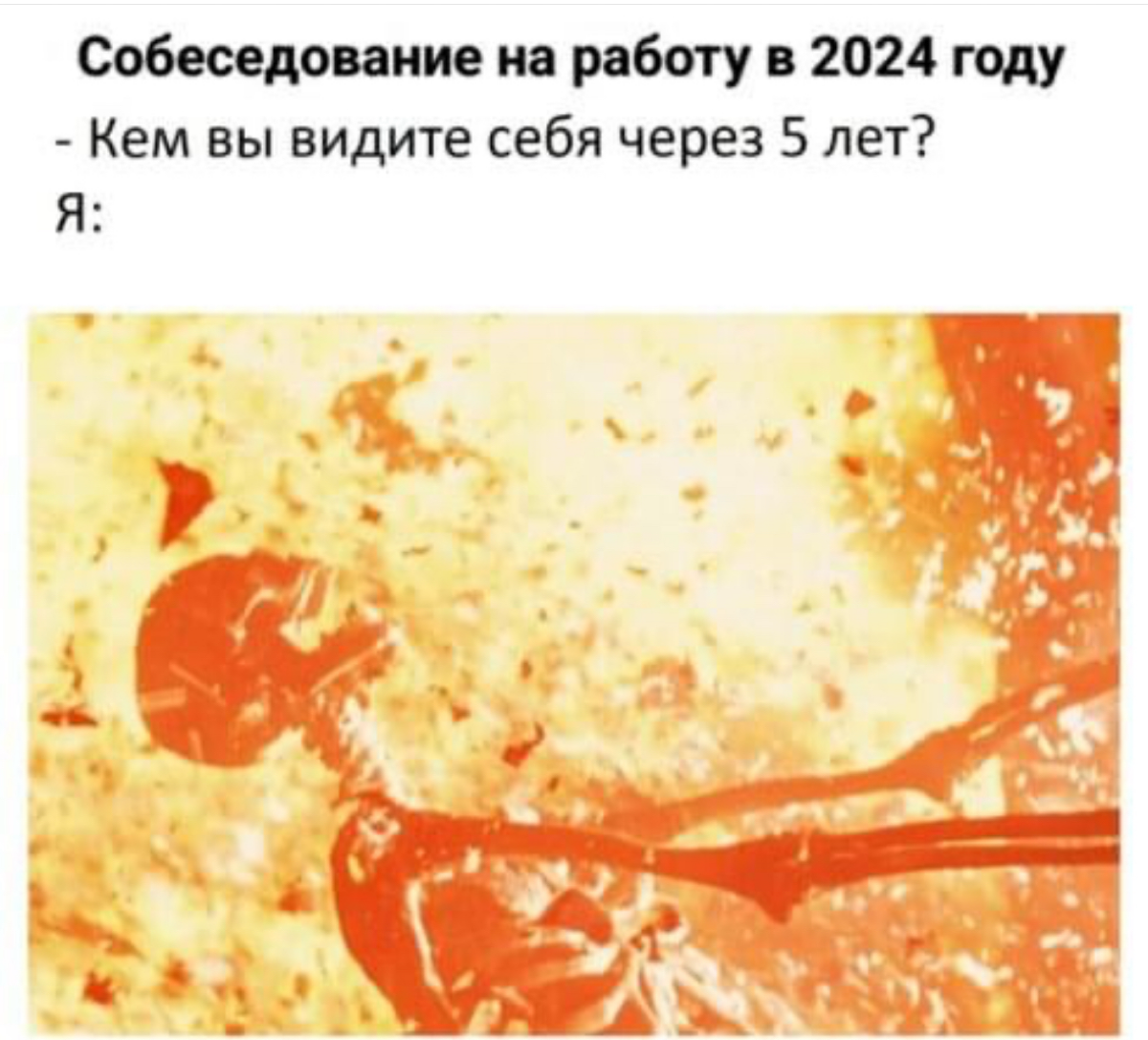 Часто вижу подобные вопросы в сетке, и вот нашелся идеальный мем. | Сетка — социальная сеть от hh.ru