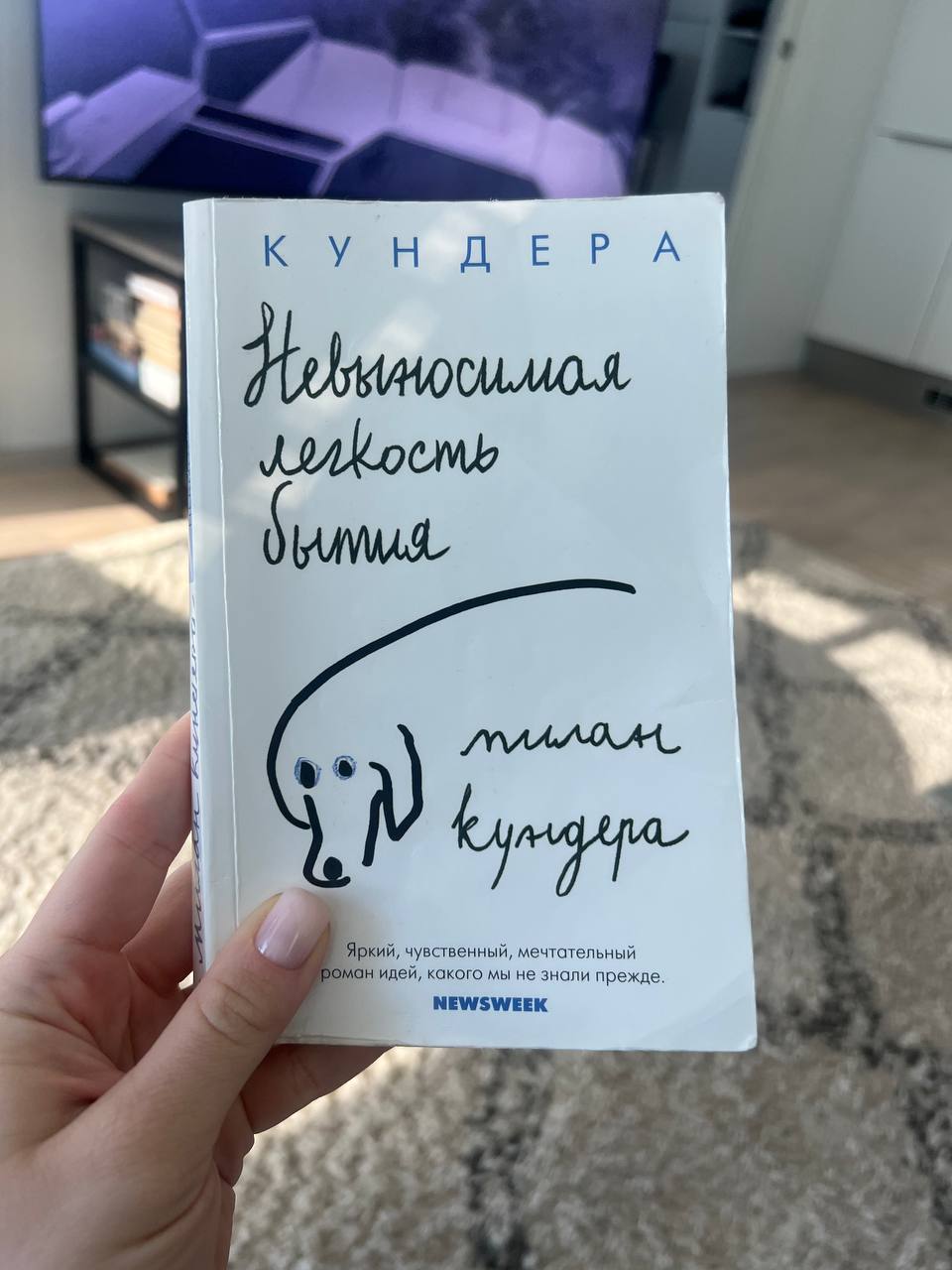 Из недавно прочитанных — художественных — книг делюсь одной. Чешский автор, Милан Кундера, «Невыносимая лёгкость бытия». Читала по-русски | Сетка — социальная сеть от hh.ru
