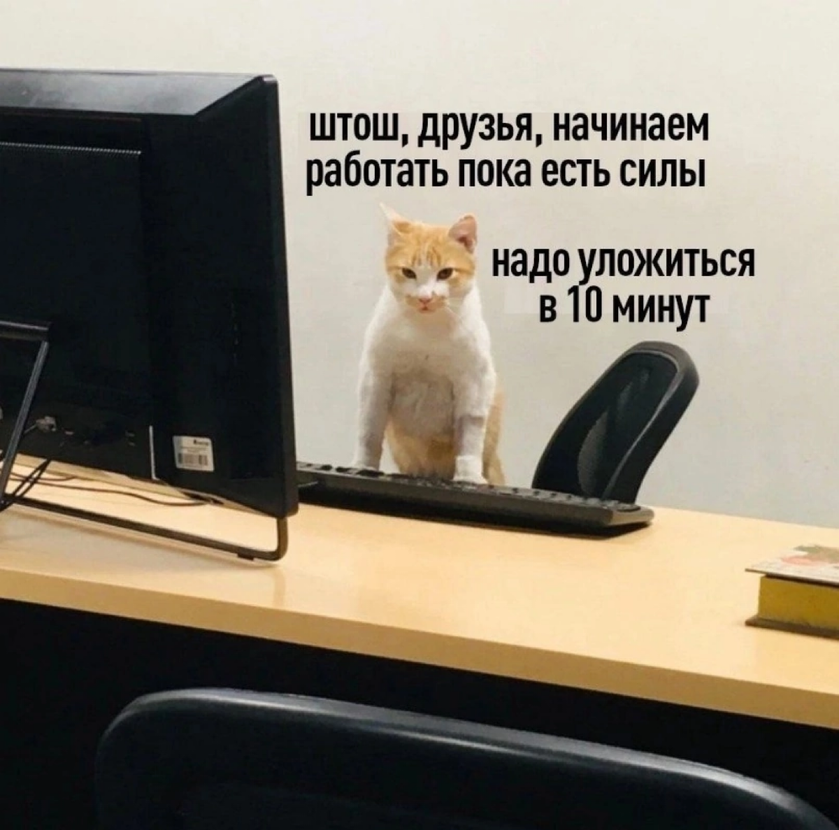 Всем привет 👻
На связи digital project manager, в прошлом медиабаер | Сетка — социальная сеть от hh.ru