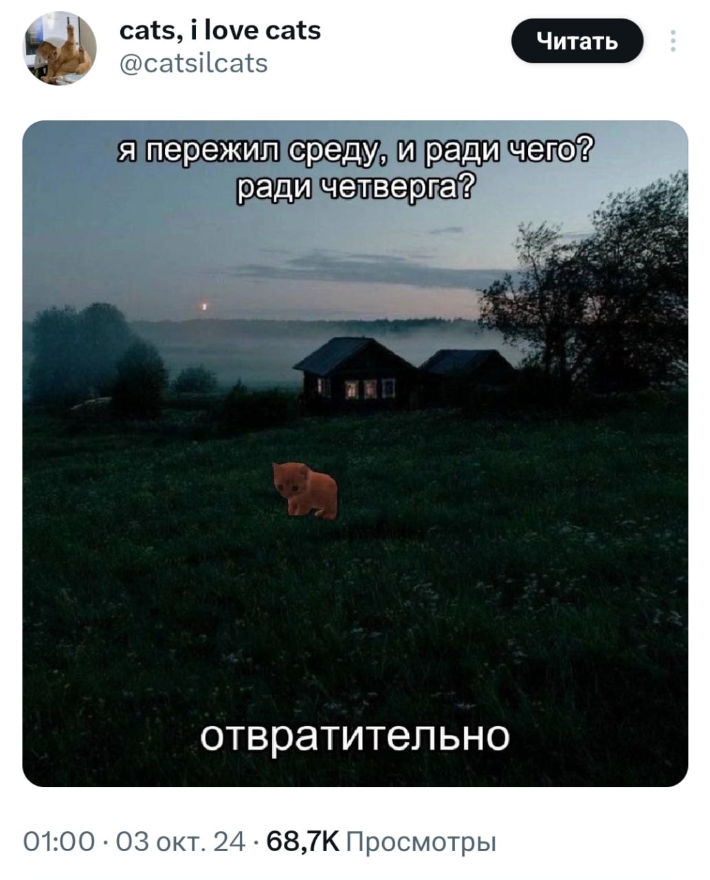 Рабочее настроение сегодня такое | Сетка — социальная сеть от hh.ru