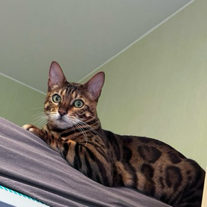 Данила Потапчук | Сетка — социальная сеть от hh.ru