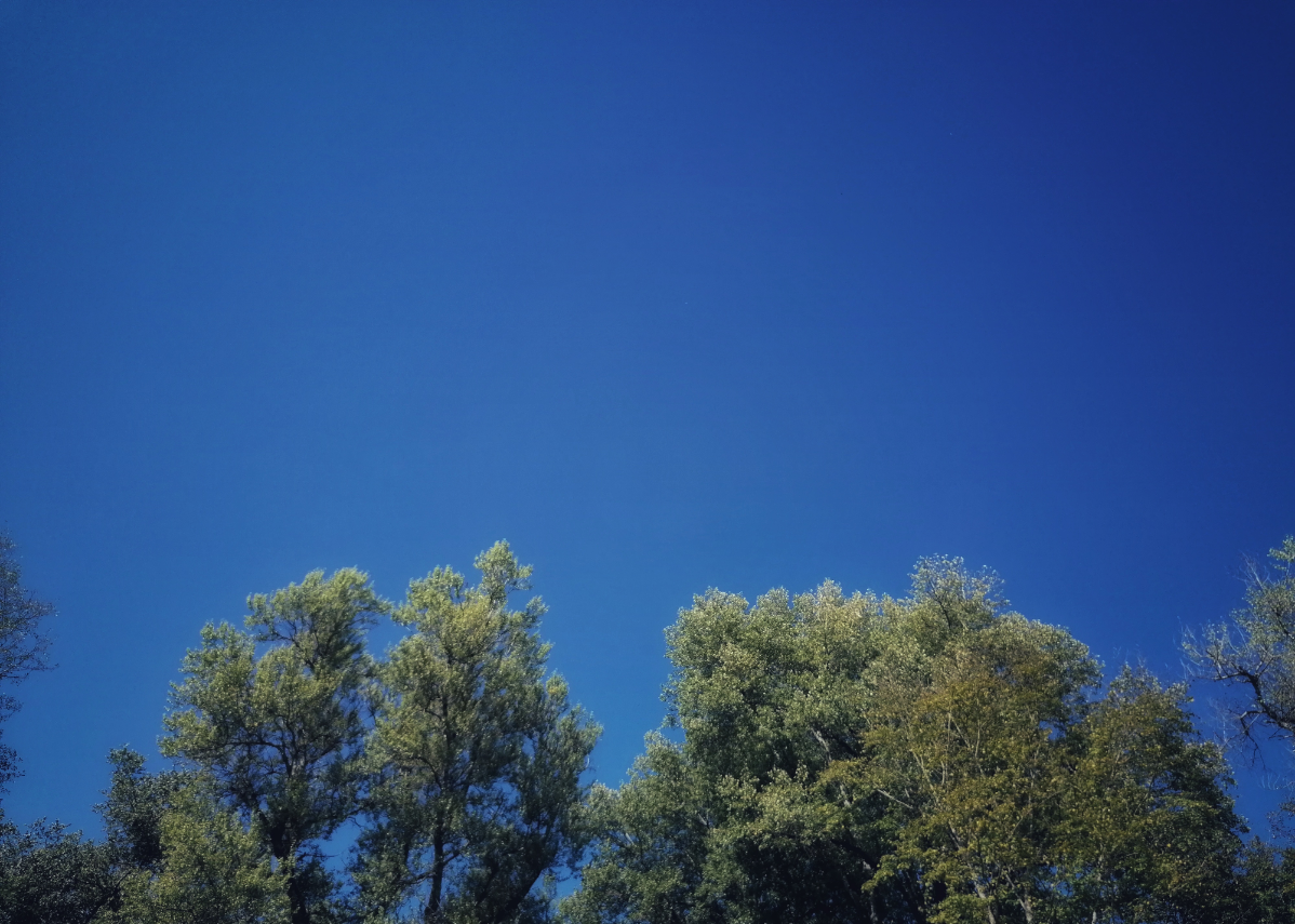 Сетка — социальная сеть от hh.ru