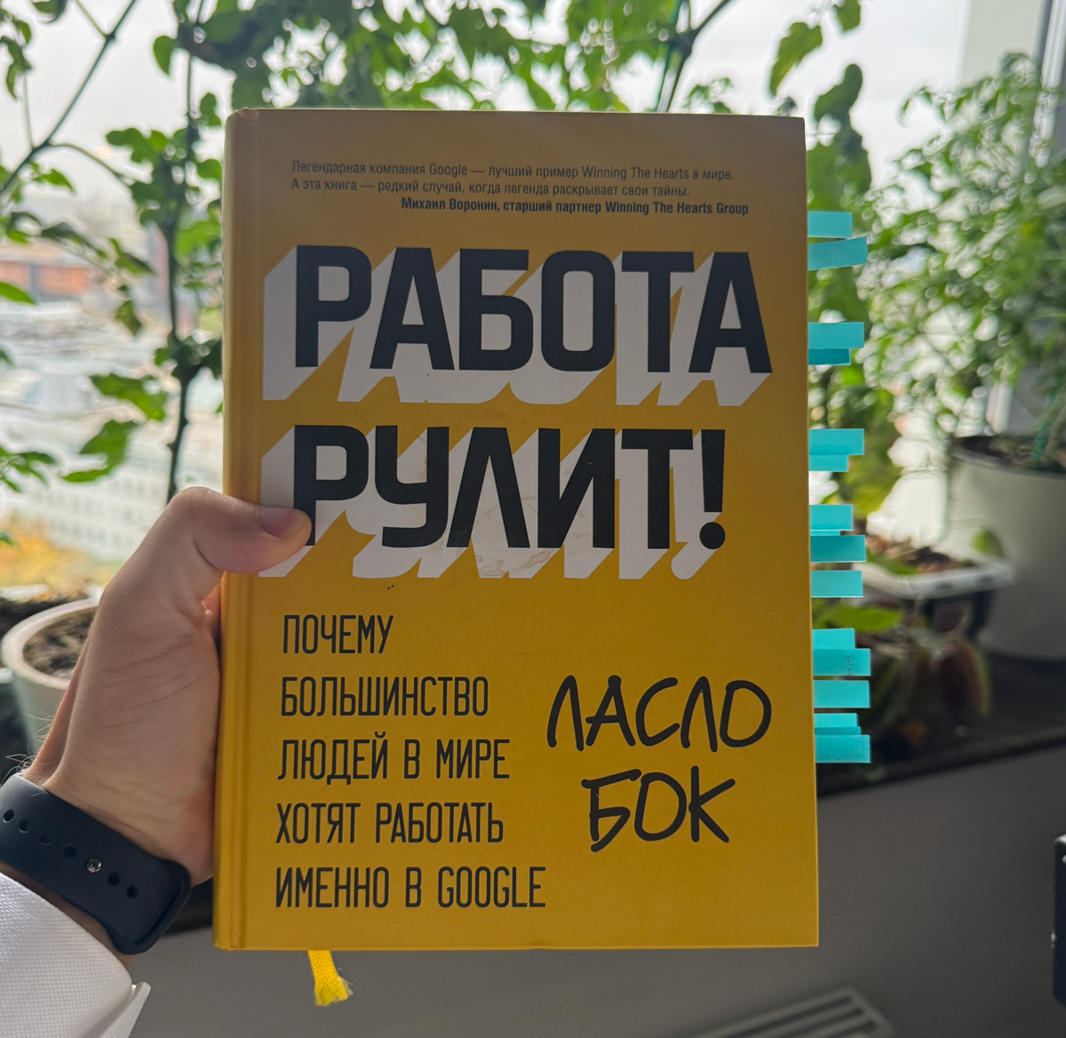 Ласло Бок "Работа рулит!"
Книгу купил в 2015 году, а прочитал только через 9 лет.
1. Прозрачность, открытость и публикация статистики мотивирует сотрудников на хорошую работу | Сетка — социальная сеть от hh.ru