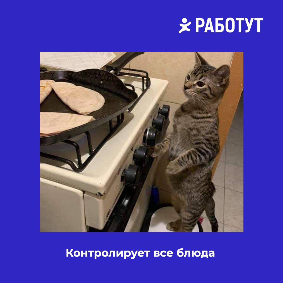 Раскрылась правда…
Мы думаем, что ты замечал отличия в поведении поваров... Но оказалось, что они делятся всего на три типа:

дегустатор
контролёр
автор

А каким типом являешься ты? 😄 | Сетка — социальная сеть от hh.ru