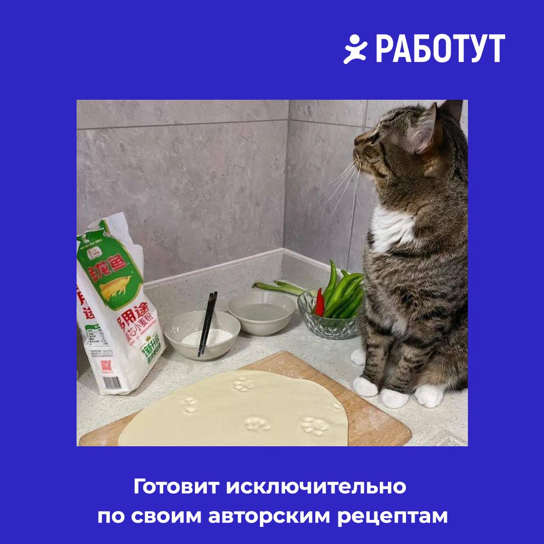 Раскрылась правда…
Мы думаем, что ты замечал отличия в поведении поваров... Но оказалось, что они делятся всего на три типа:

дегустатор
контролёр
автор

А каким типом являешься ты? 😄 | Сетка — социальная сеть от hh.ru