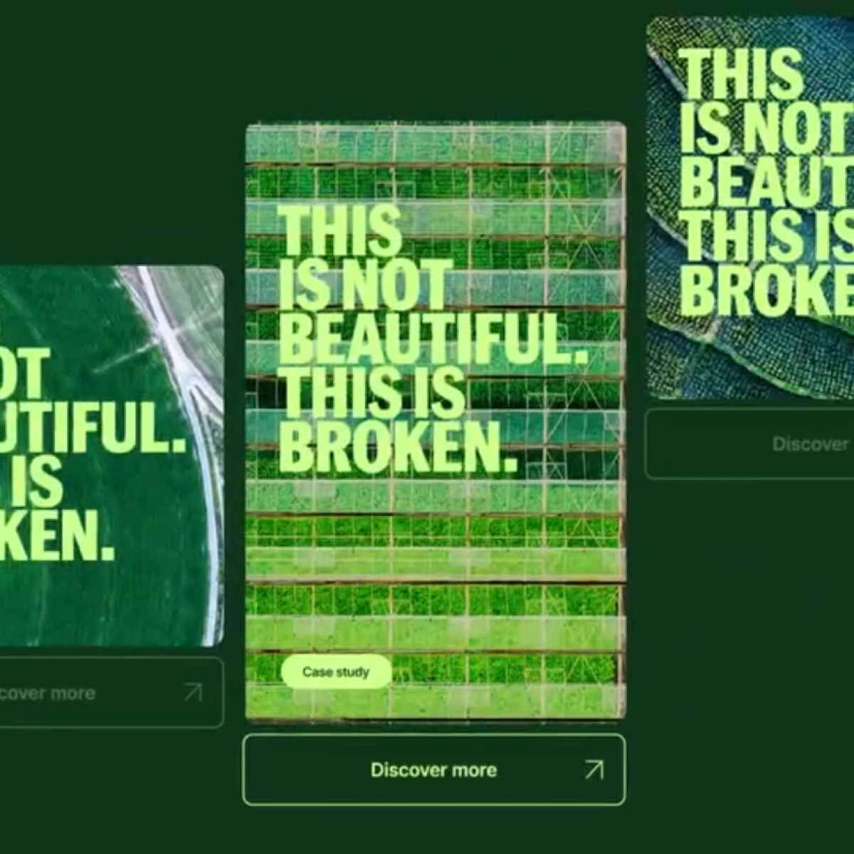 Трёпаный клубок | Сетка — социальная сеть от hh.ru