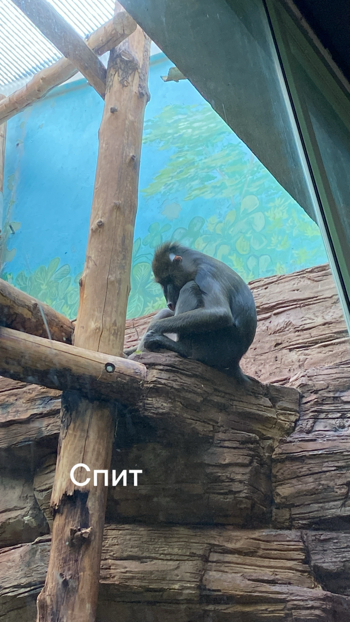 Овертаймы. | Сетка — социальная сеть от hh.ru