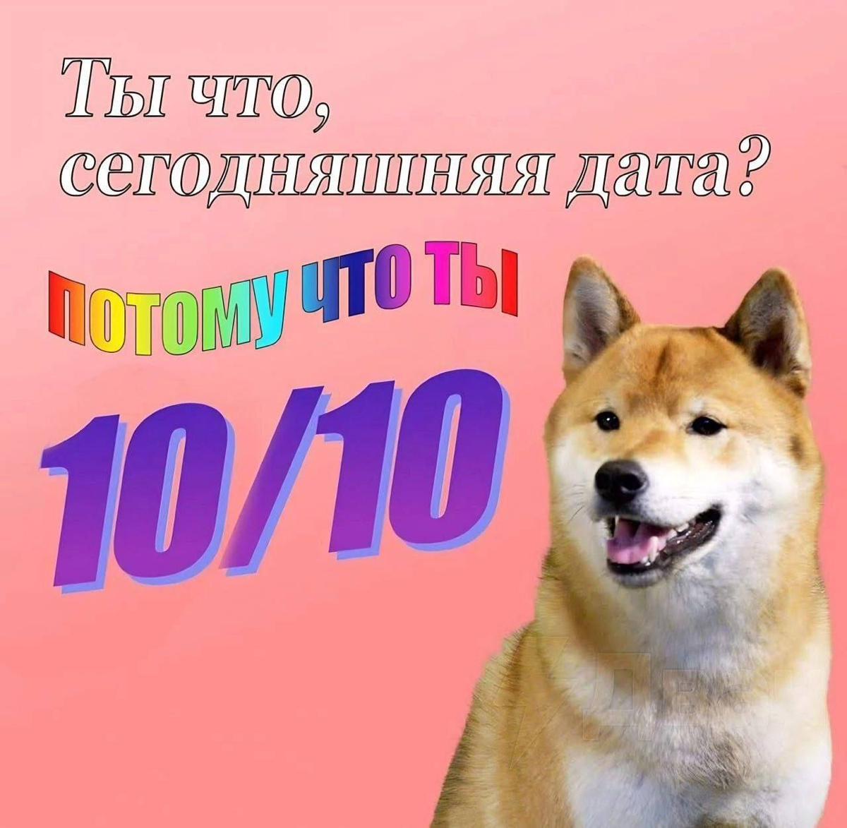 🫶🏻 | Сетка — социальная сеть от hh.ru