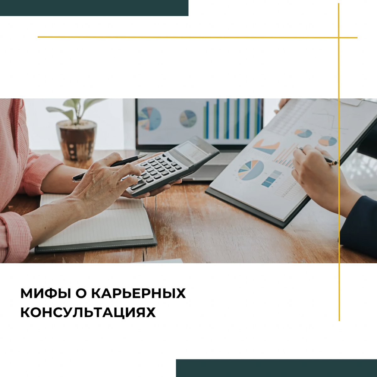 Мифы о карьерных консультациях | Сетка — социальная сеть от hh.ru