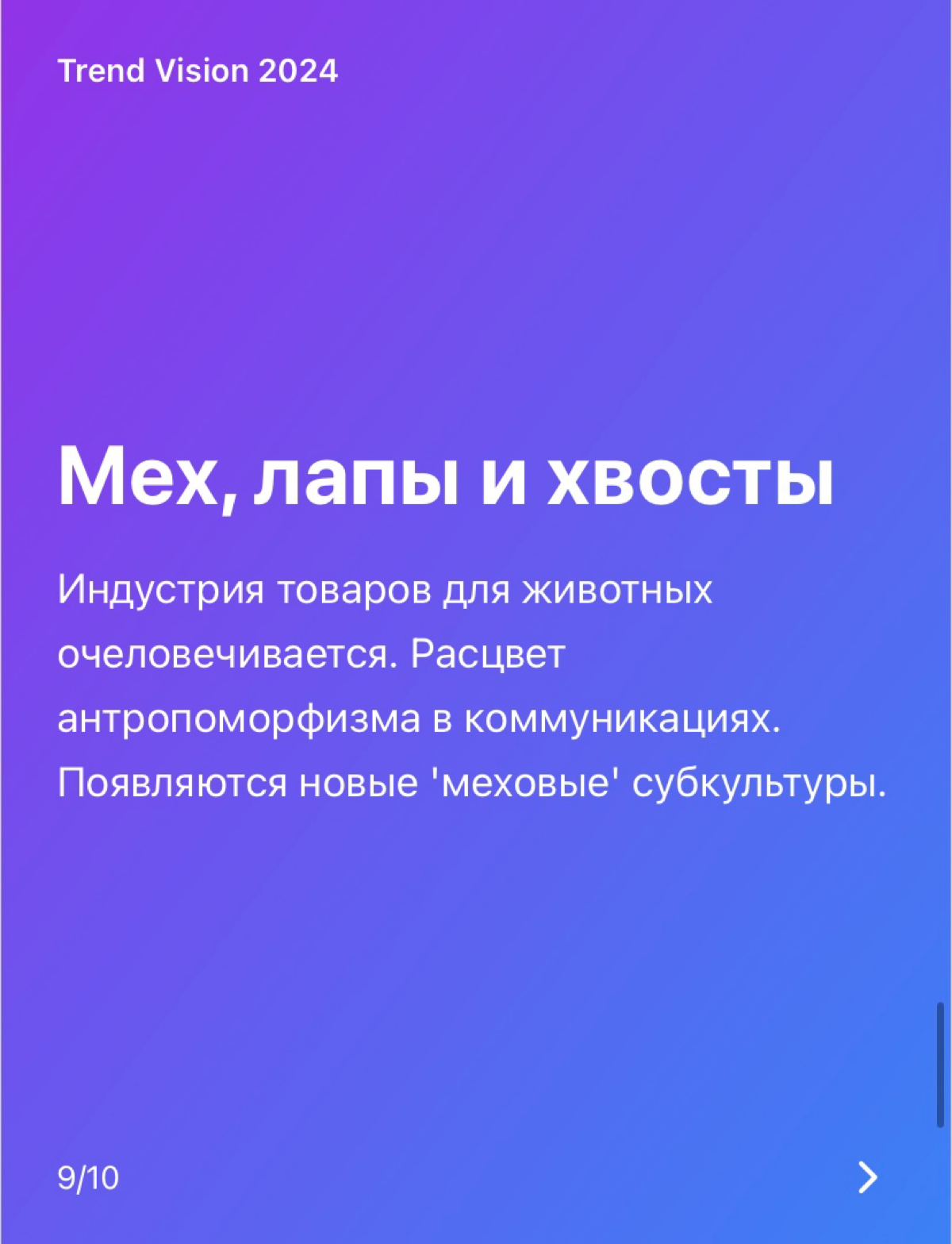Trend Vision 2024 | Сетка — социальная сеть от hh.ru