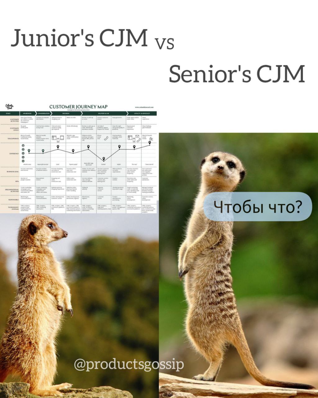 Держитесь! Очень скоро B2C вернется из командировки и мои шутки станут понятны без пояснительной бригады | Сетка — социальная сеть от hh.ru