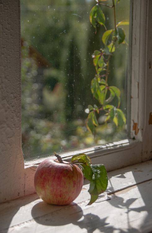 Дома хорошо, а у Бабушки в деревне лучше🌰🍯🤍
Обожала в детстве ездить в деревню к Бабушкам и Дедушкам, чистый воздух, тишина | Сетка — социальная сеть от hh.ru