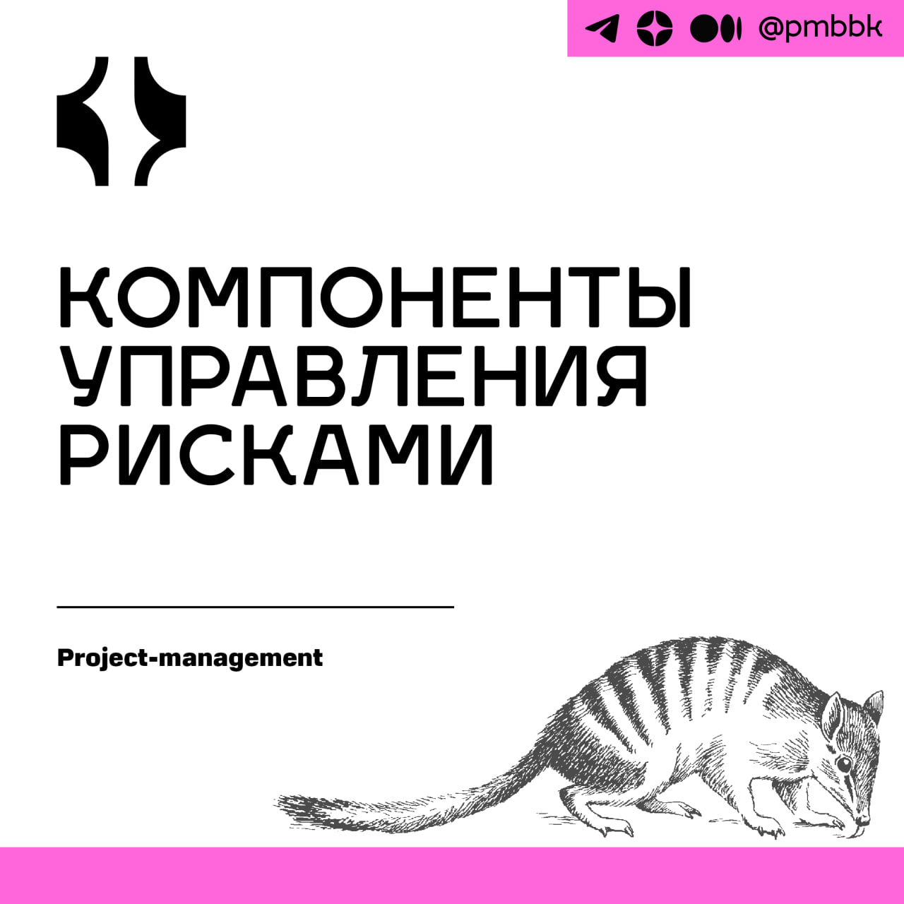🪙 Компоненты управления рисками
Освоение элементов управления рисками защищает цели проекта и повышает общую устойчивость вашей организации | Сетка — социальная сеть от hh.ru