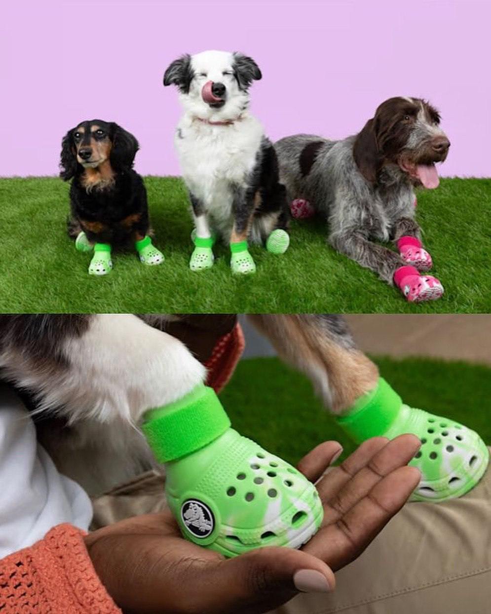 Какая милота: Crocs заколлабились с BARK и выпустили маленькие кроксики ботинки для собак. Собачьи Crocs доступны в двух цветах и, кстати, они светятся в темноте | Сетка — социальная сеть от hh.ru
