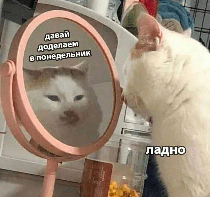 Очень хотелось бы сегодня так поступить, но дедлайны бухгалтерии нерушимы 🥲 | Сетка — социальная сеть от hh.ru