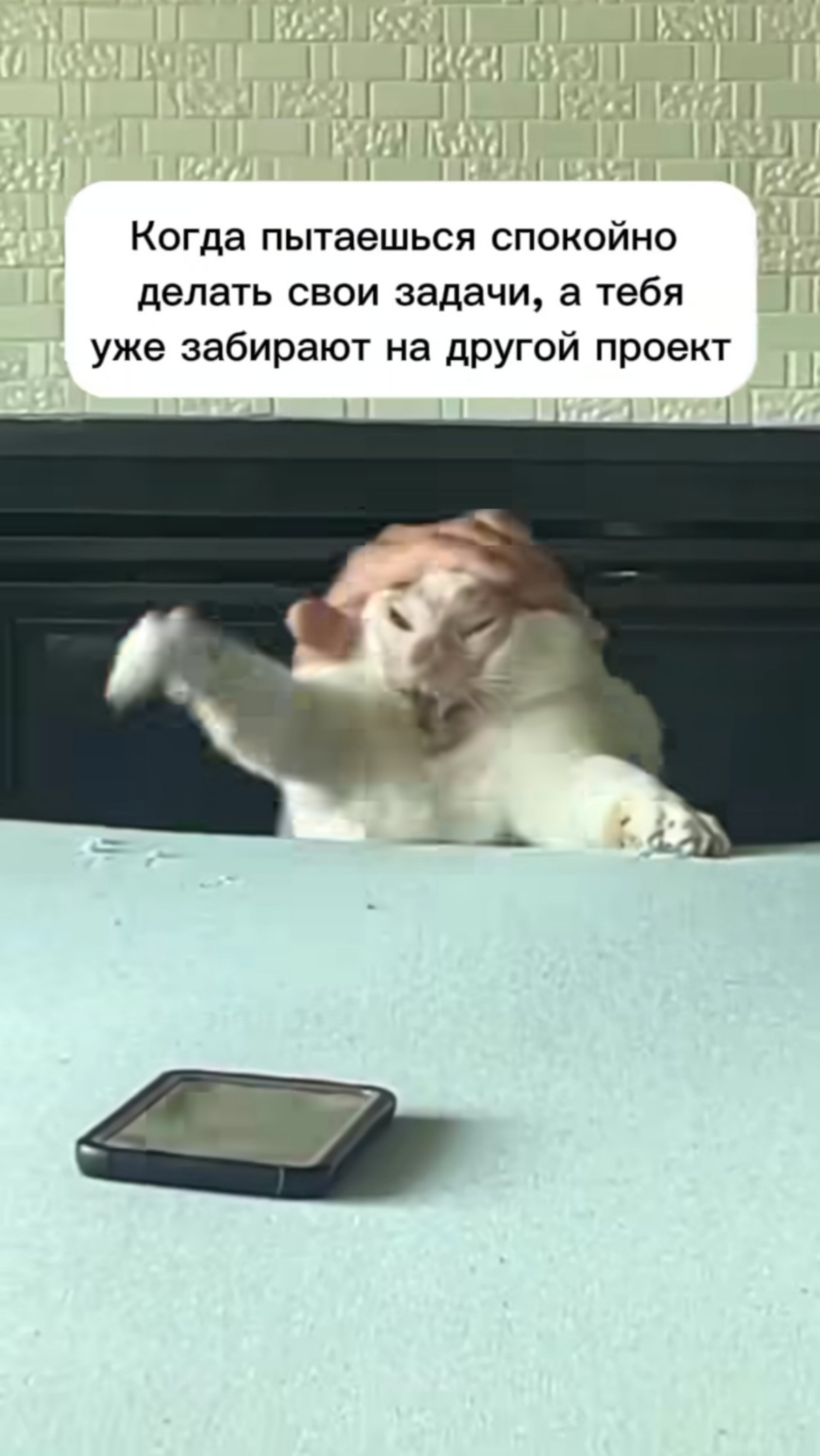 Сетка — социальная сеть от hh.ru