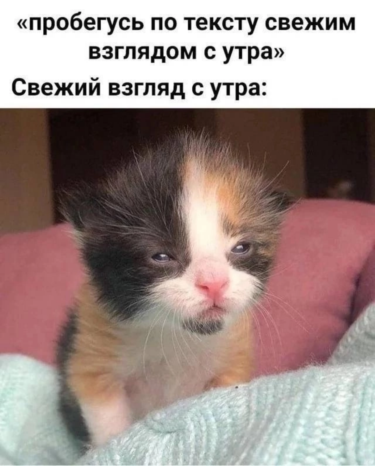 Только так | Сетка — социальная сеть от hh.ru