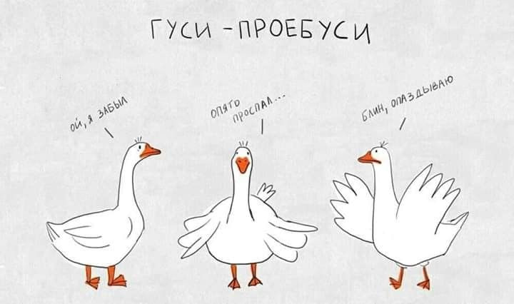 Признавайтесь, есть у вас такие сотрудники? 😅
(Вспомним классику)
@projectsproducts | Сетка — социальная сеть от hh.ru