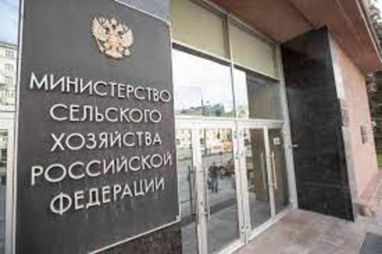 Минсельхоз прогнозирует в 2030 году экспорт зерна на $17,5 м | Сетка — социальная сеть от hh.ru