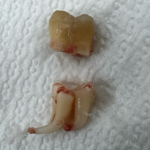 Алексей Юрочкин | Сетка — социальная сеть от hh.ru