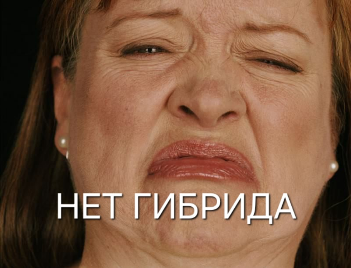 ...согласна, про ДМС для животных я погорячилась
#мем #hr #компенсации #льготы #мотивация | Сетка — социальная сеть от hh.ru